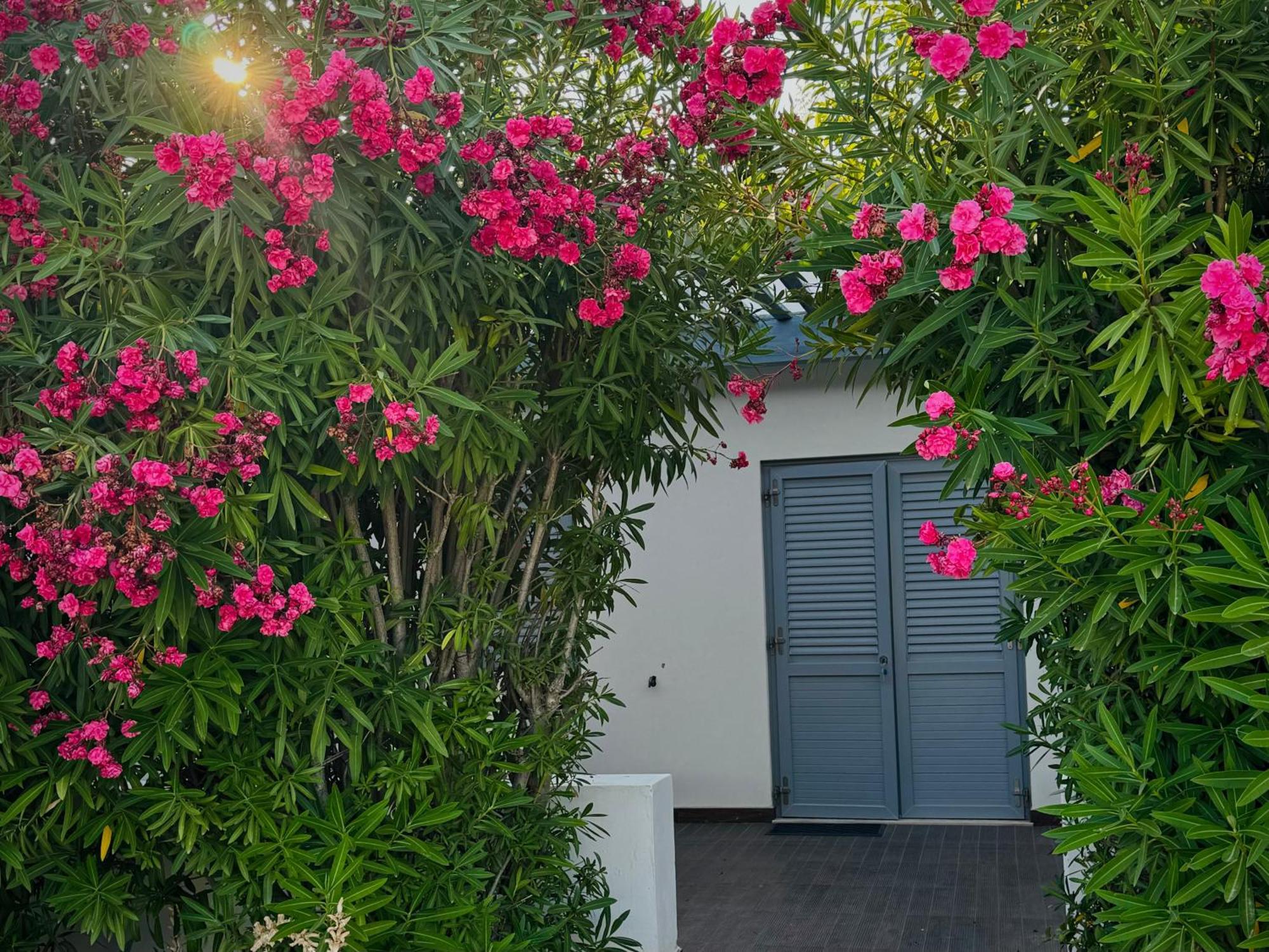 Baia Sangiorgio Hotel Resort Bari Esterno foto
